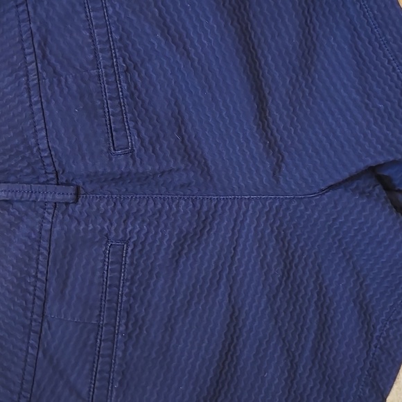 Lilly Pulitzer "The Callahan" True Navy Lobster Patch Shorts - Picture 9 of 10